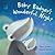 Baby Badger's Wonderful Night