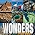 Wonders of the World by Valeria Manferto de Fabianis