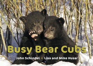 Busy Bear Cubs (A Busy Book)