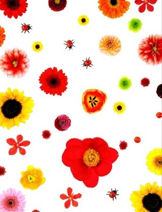 Wild Flowers Wire-O Bound Journal