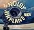 The Noisy Airplane Ride