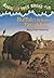 Buffalo Before Breakfast (Magic Tree House, #18)