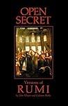 Open Secret by John Moyne