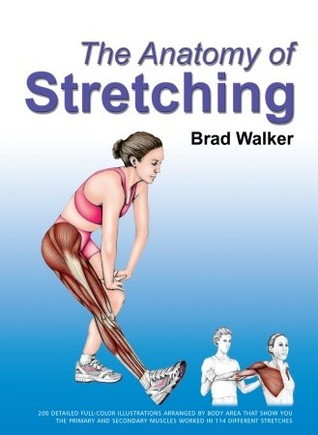 The Anatomy of Stretching (Paperback)
