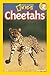 Cheetahs