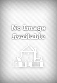 Animation: The Whole Story (Paperback)