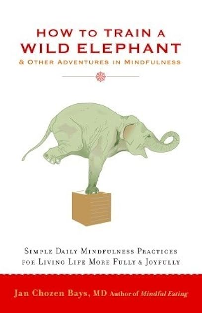How to Train a Wild Elephant: And Other Adventures in Mindfulness