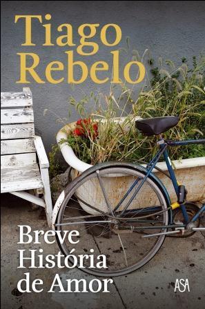 Breve História de Amor (Paperback)