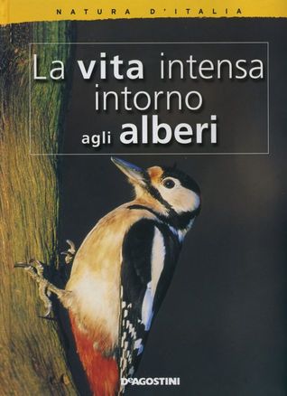 La vita intensa intorno agli alberi