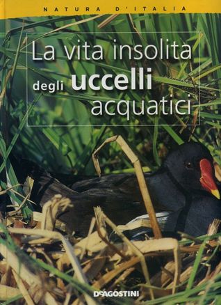 La vita insolita degli uccelli acquatici