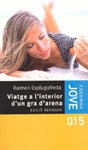Viatge a l'interior d'un gra d'arena