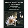 The Glass Flowers...