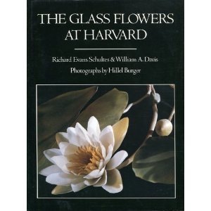 The Glass Flowers at Harvard