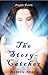 The Story-Catcher: A Fantasy Short Story