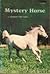 Mystery Horse