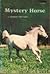 Mystery Horse