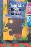 Het ijzelt in juni: Gedichten en collages