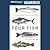 Four Fish: The Future of the Last Wild Food, Library Edition
