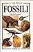 I Fossili
