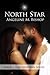 North Star (The Sheridan Series, #1)