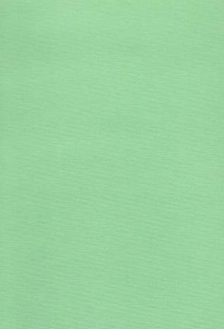 William Morris: His Work and Influence (Home University Library of Modern Knowledge)