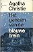 Het geheim van de blauwe trein