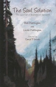 The Soul Solution: The Need for a Theology of the Earth