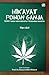 Hikayat Pohon Ganja by Tim LGN