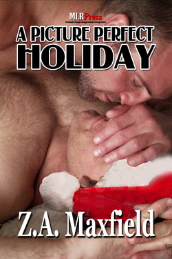 A Picture Perfect Holiday (ebook)