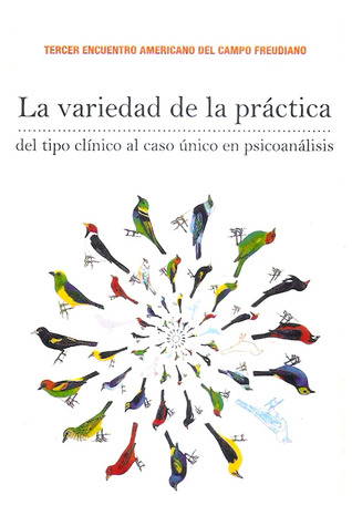 La variedad de la práctica: del tipo clínico al caso único en psicoanálisis