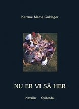 Nu er vi så her (Hardcover)
