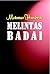 Melintas Badai by Makmur Hendrik