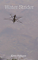 Water Strider