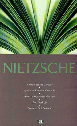 Nietzsche (Paperback)