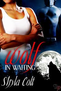 Wolf in Waiting (Blackburn Falls, #1)
