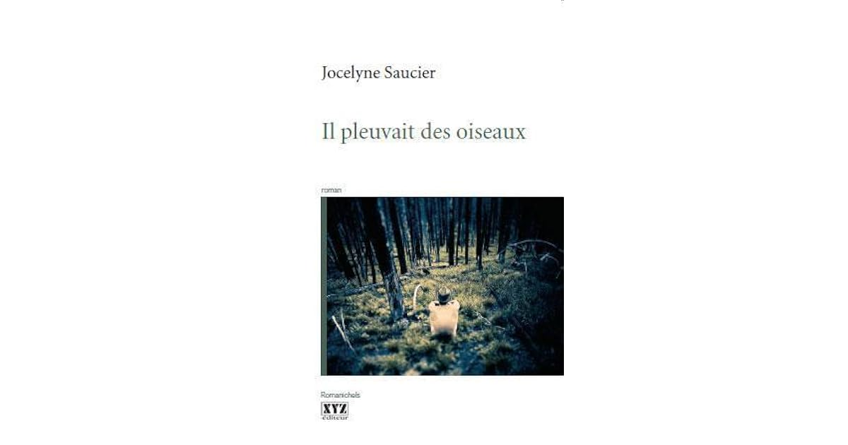 Il pleuvait des oiseaux by Jocelyne Saucier