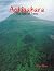 Aokigahara: The Sea of Trees