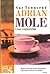 Adrian Mole Czas cappuccino by Sue Townsend