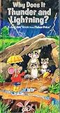 Why Does It Thunder and Lightning? (A Just Ask Book)