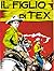 Tex n. 12: Il figlio di Tex