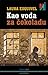 Kao voda za čokoladu by Laura Esquivel