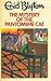 The Mystery of the Pantomime Cat (The Five Find-Outers, #7)