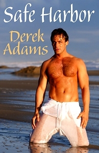 Safe Harbor (Kindle Edition)