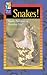 Snakes!: Deadly Predators or Harmless Pets? (High Five Reading)