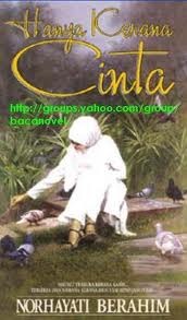 Hanya Kerana Cinta (Paperback)