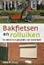Bakfietsen en Rolluiken: De electorale geografie van Nederland
