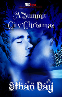 A Summit City Christmas (Summit City, #2.5)