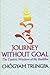 Journey Without Goal: The Tantric Wisdom of the Buddha (Dharma Ocean Series)