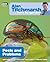Alan Titchmarsh How to Garden: Pests and Problems