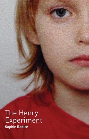 The Henry Experiment (Paperback)